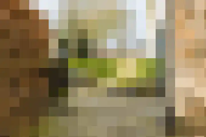 Hunze 47 Drachten thumbnail 4