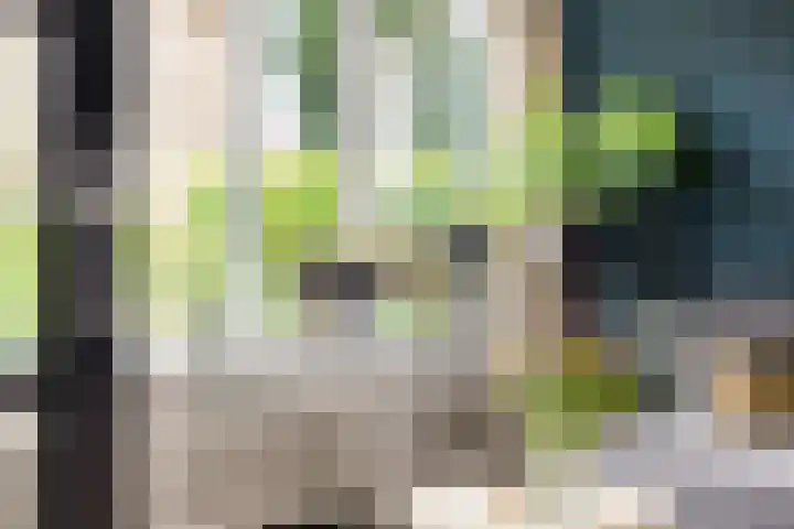 Hunze 47 Drachten thumbnail 9