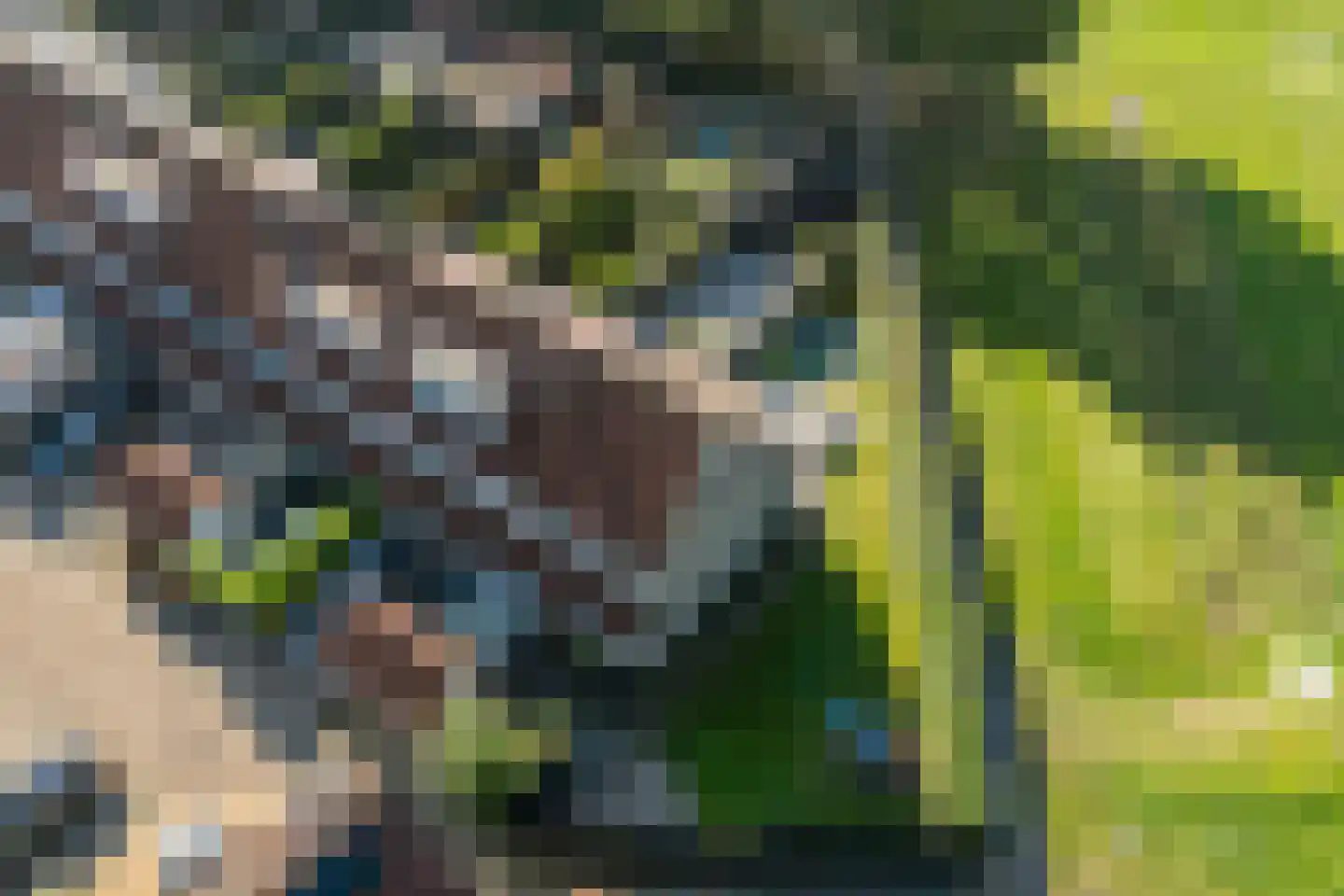 Hunze 60 Wijk bij Duurstede thumbnail 48