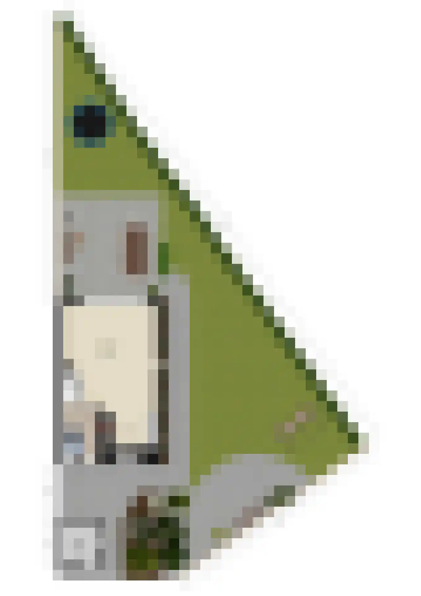 Hunze 60 Wijk bij Duurstede thumbnail 59