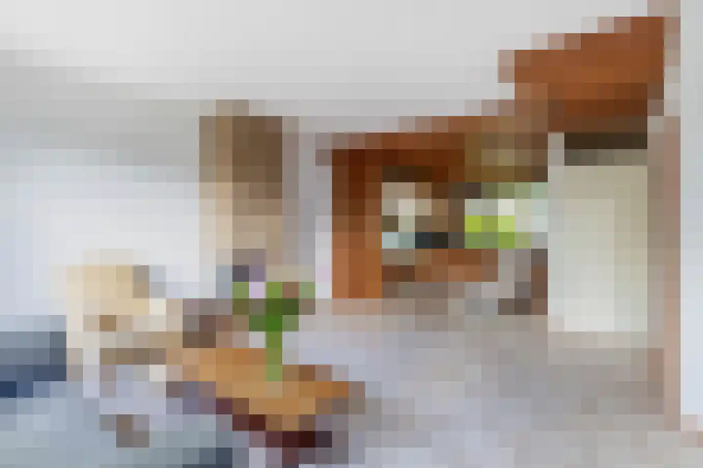 Hunze 74 Rotterdam thumbnail 11