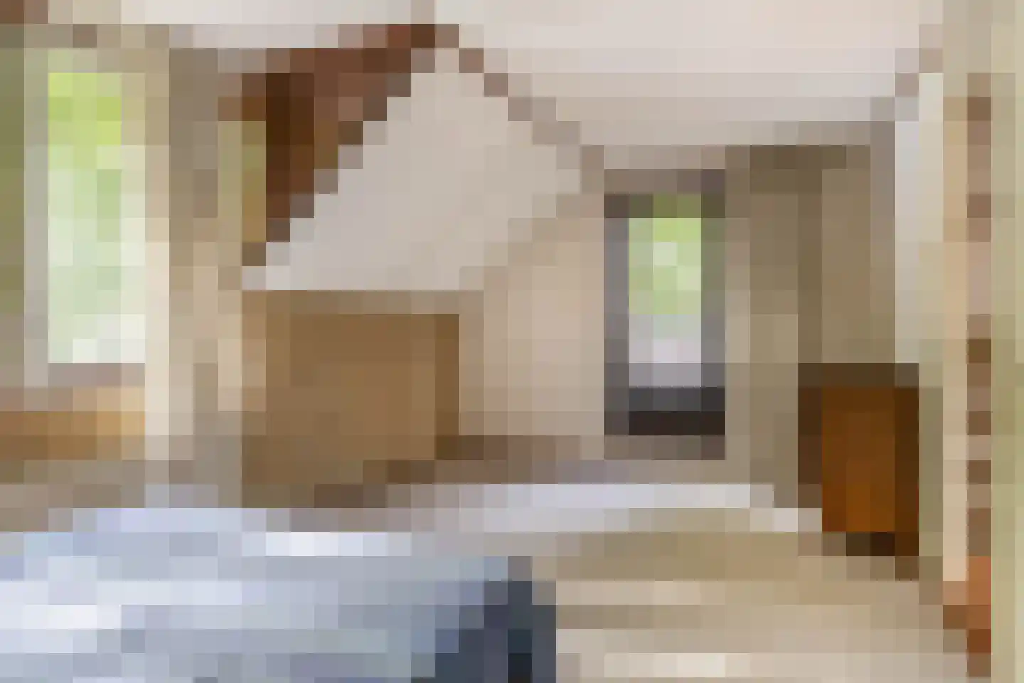 Hunze 74 Rotterdam thumbnail 23
