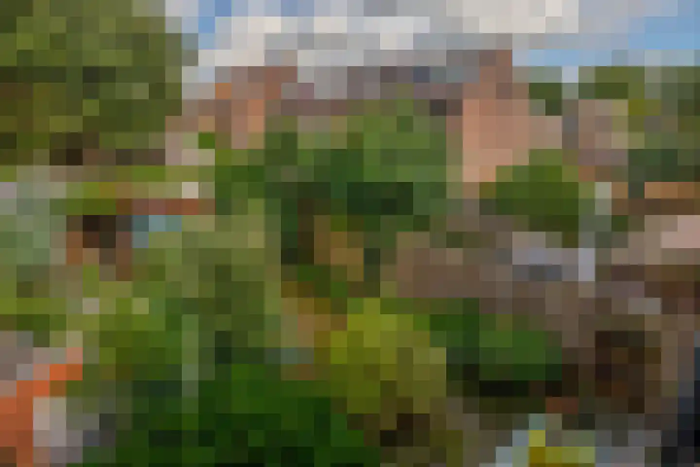 Hunze 74 Rotterdam thumbnail 25