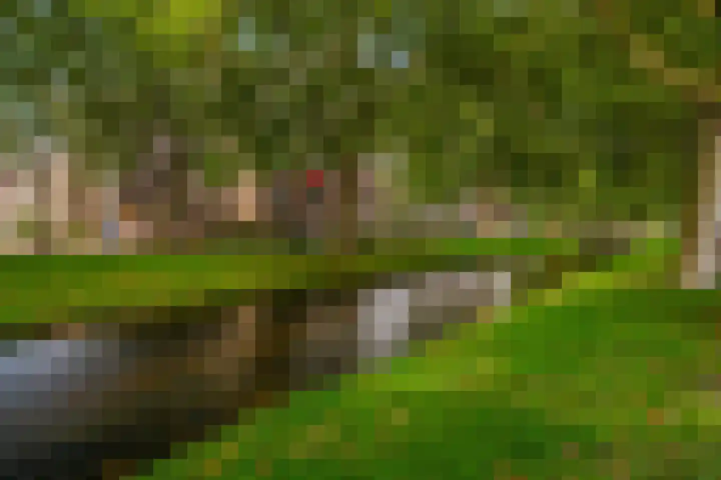 Hunze 74 Rotterdam thumbnail 50