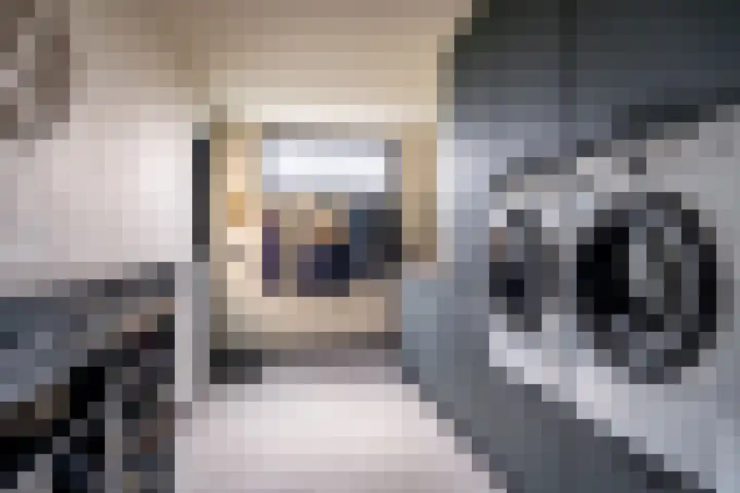 Hunze 8 Drachten thumbnail 22
