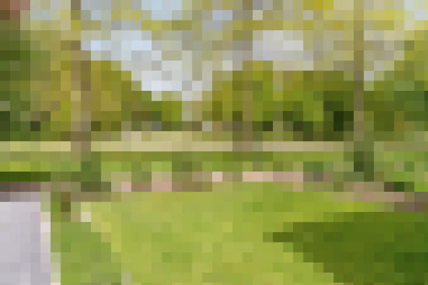 Hunze 8 Drachten thumbnail 7
