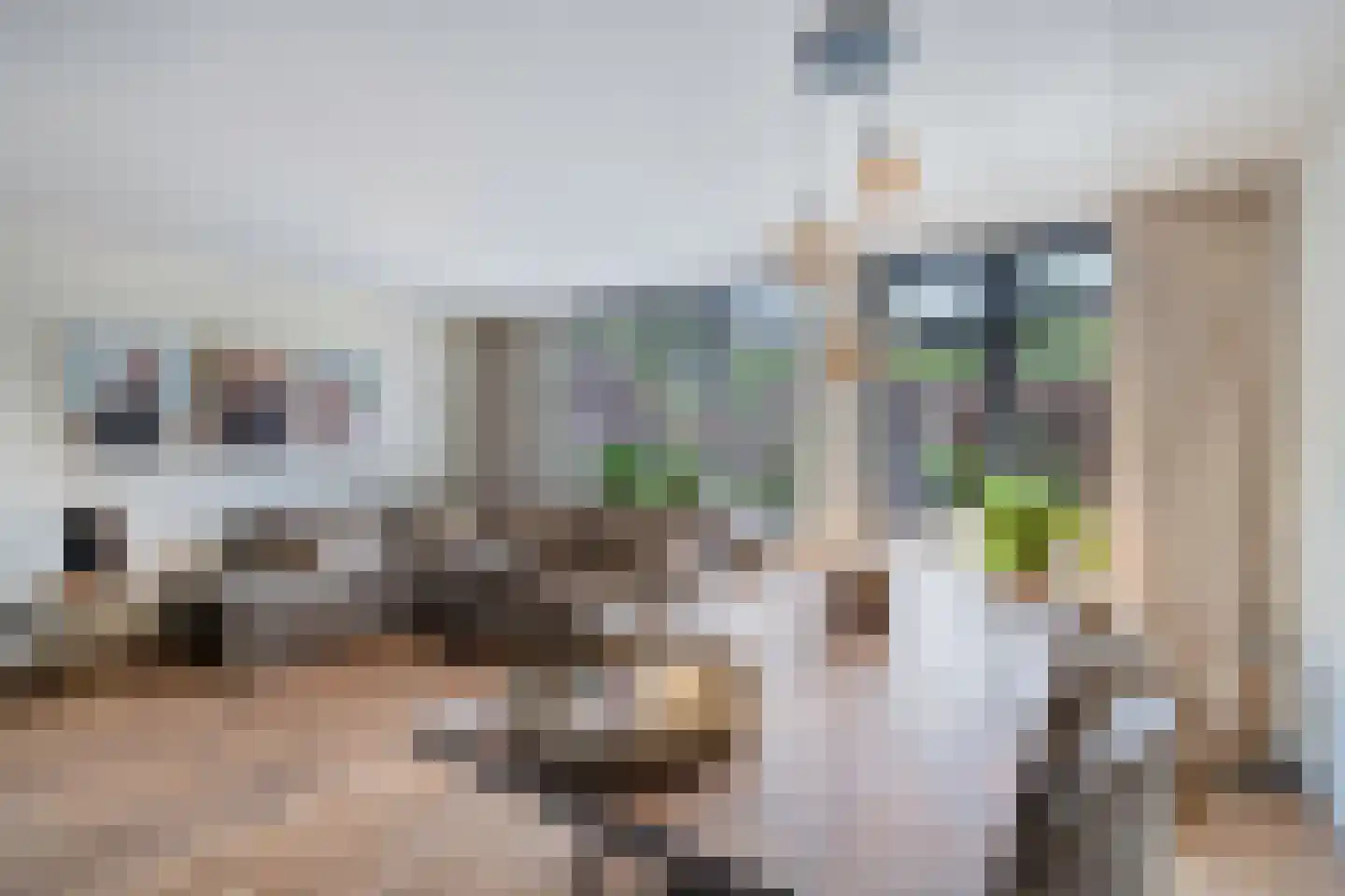 Hunze 8 Pijnacker thumbnail 12