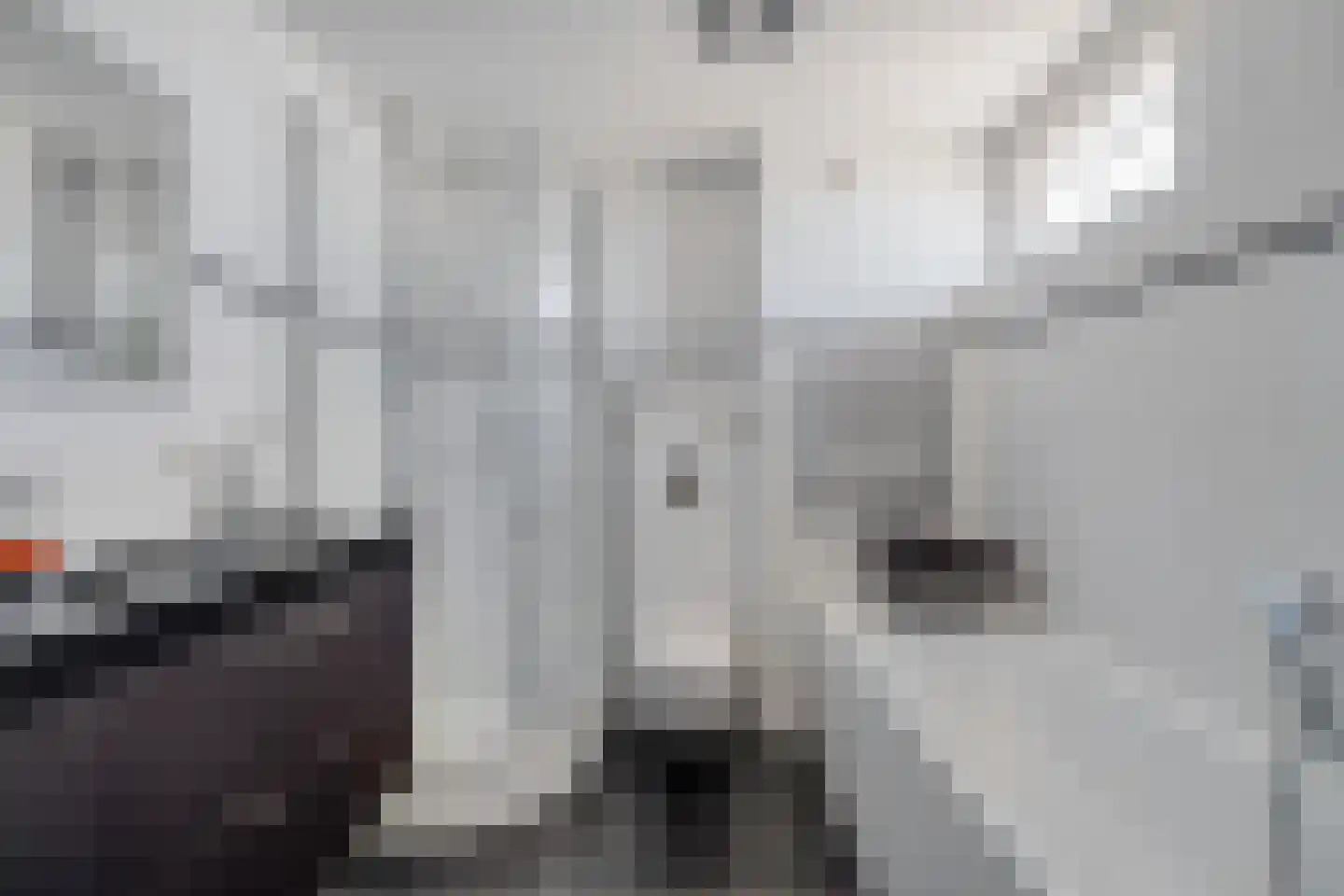Hunze 8 Pijnacker thumbnail 23