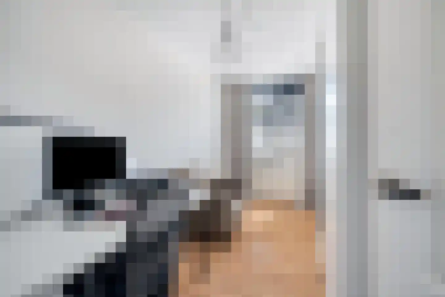 Hunze 8 Pijnacker thumbnail 25