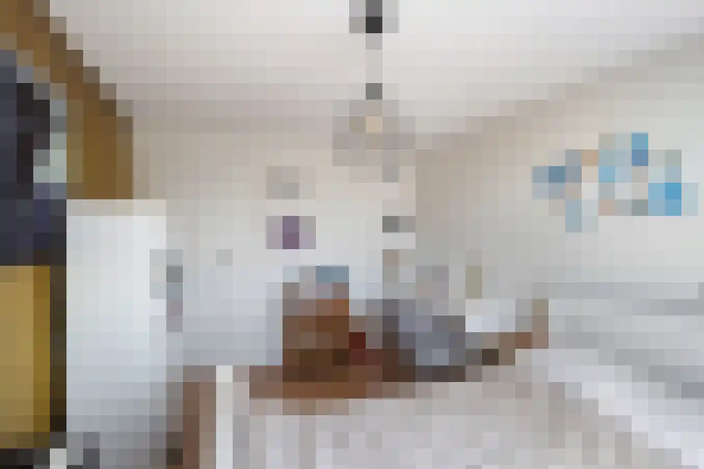 Hunze 8 Pijnacker thumbnail 32