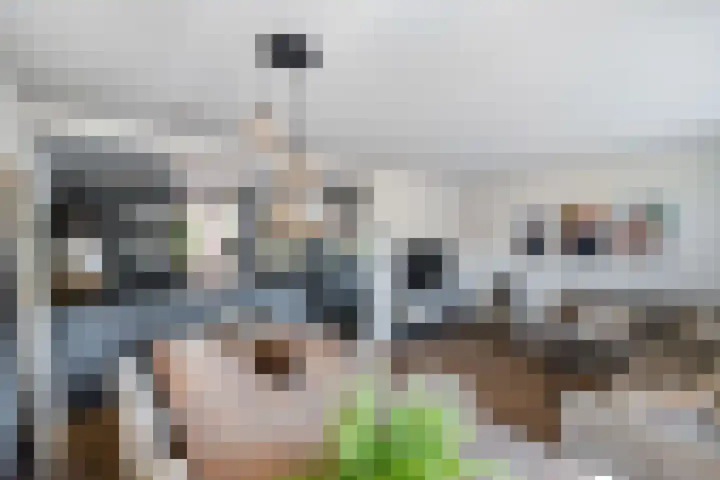 Hunze 8 Pijnacker thumbnail 8