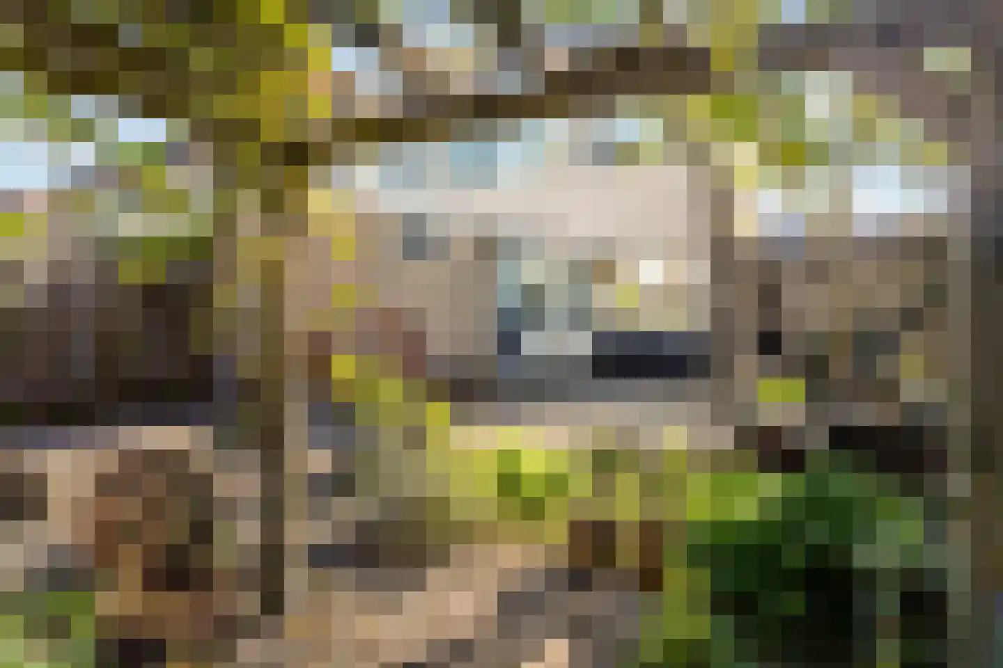 Hunze 89 Drachten thumbnail 4