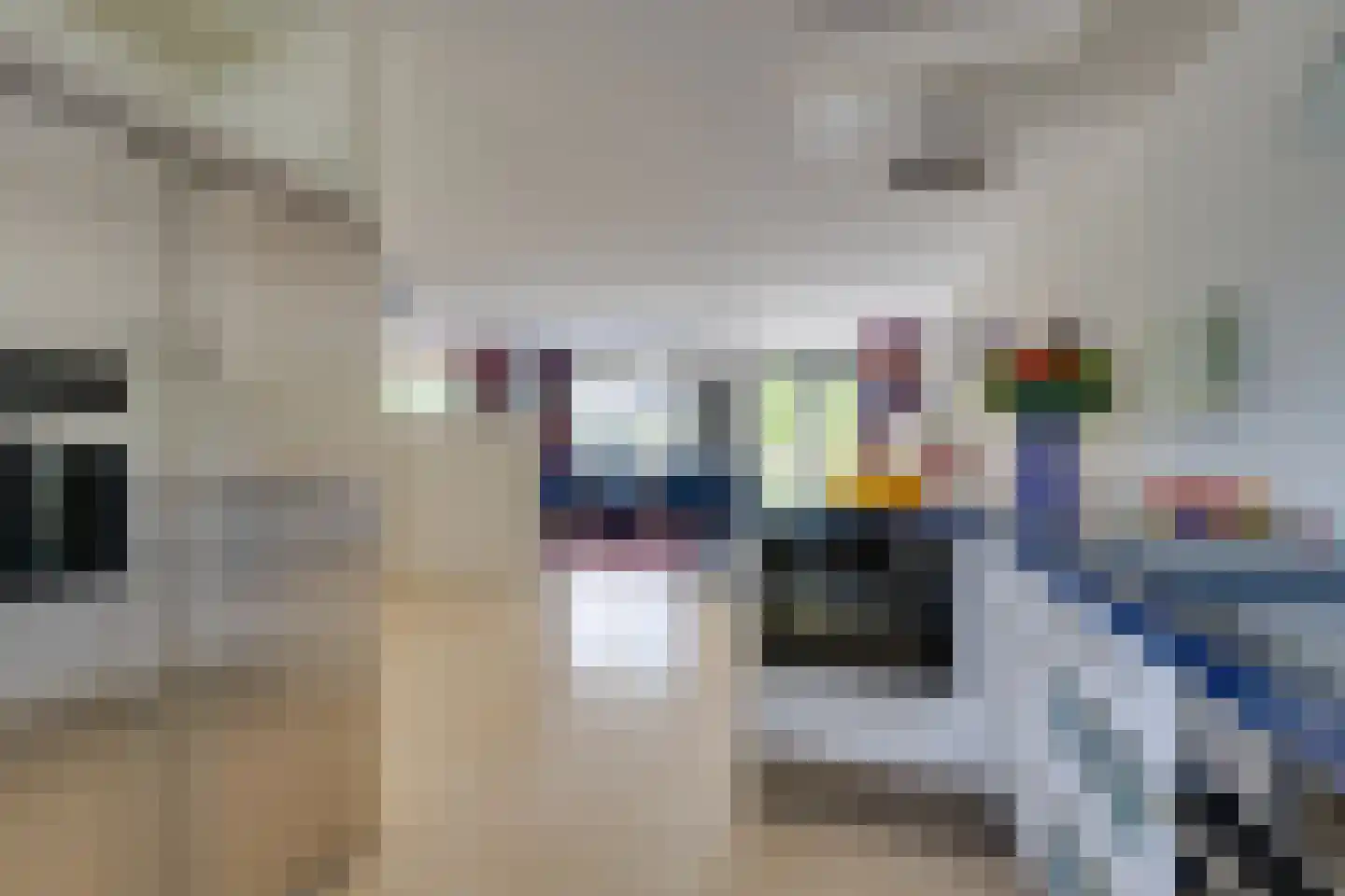 Hunzebos 20 Purmerend thumbnail 28