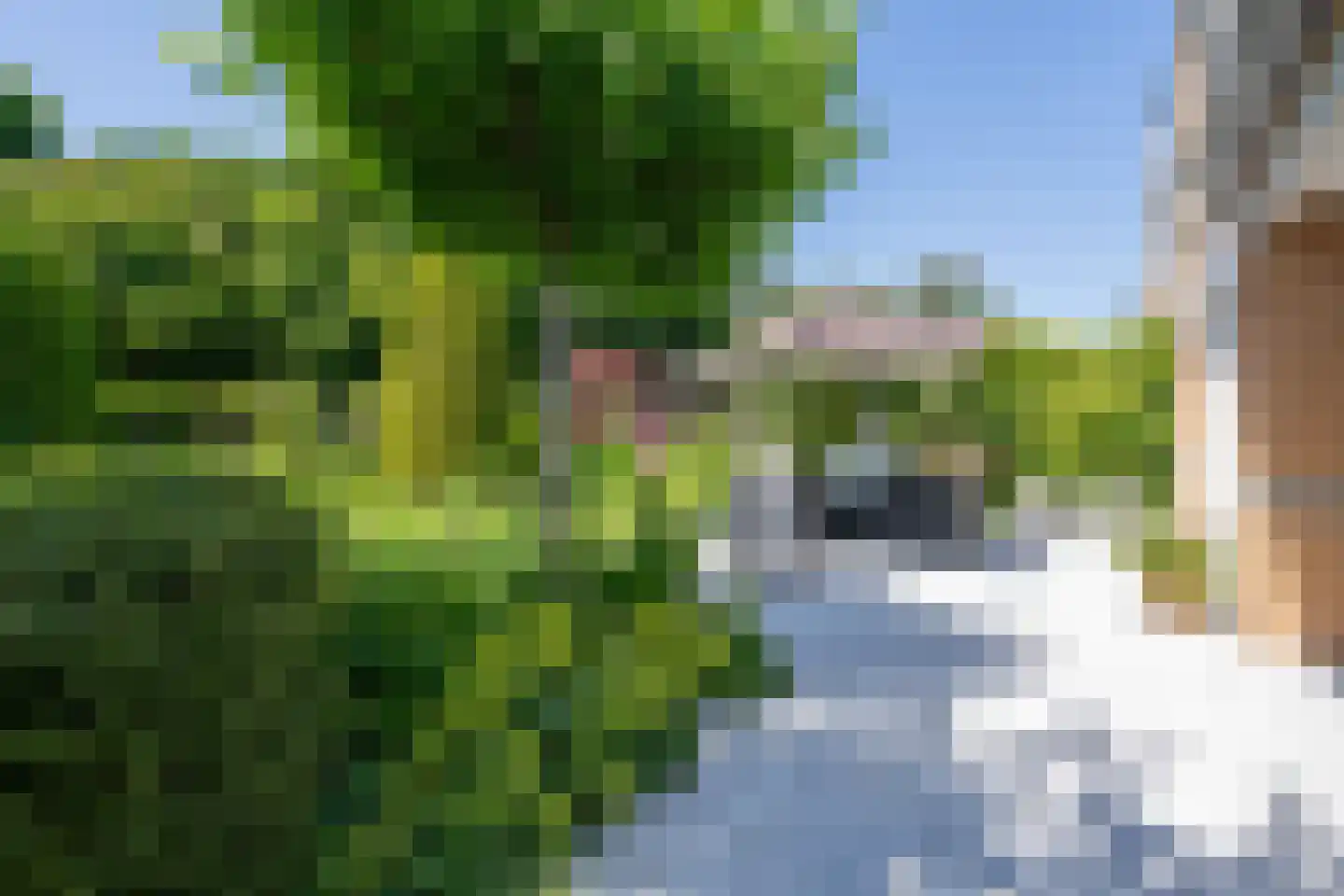 Hunzebos 20 Purmerend thumbnail 41