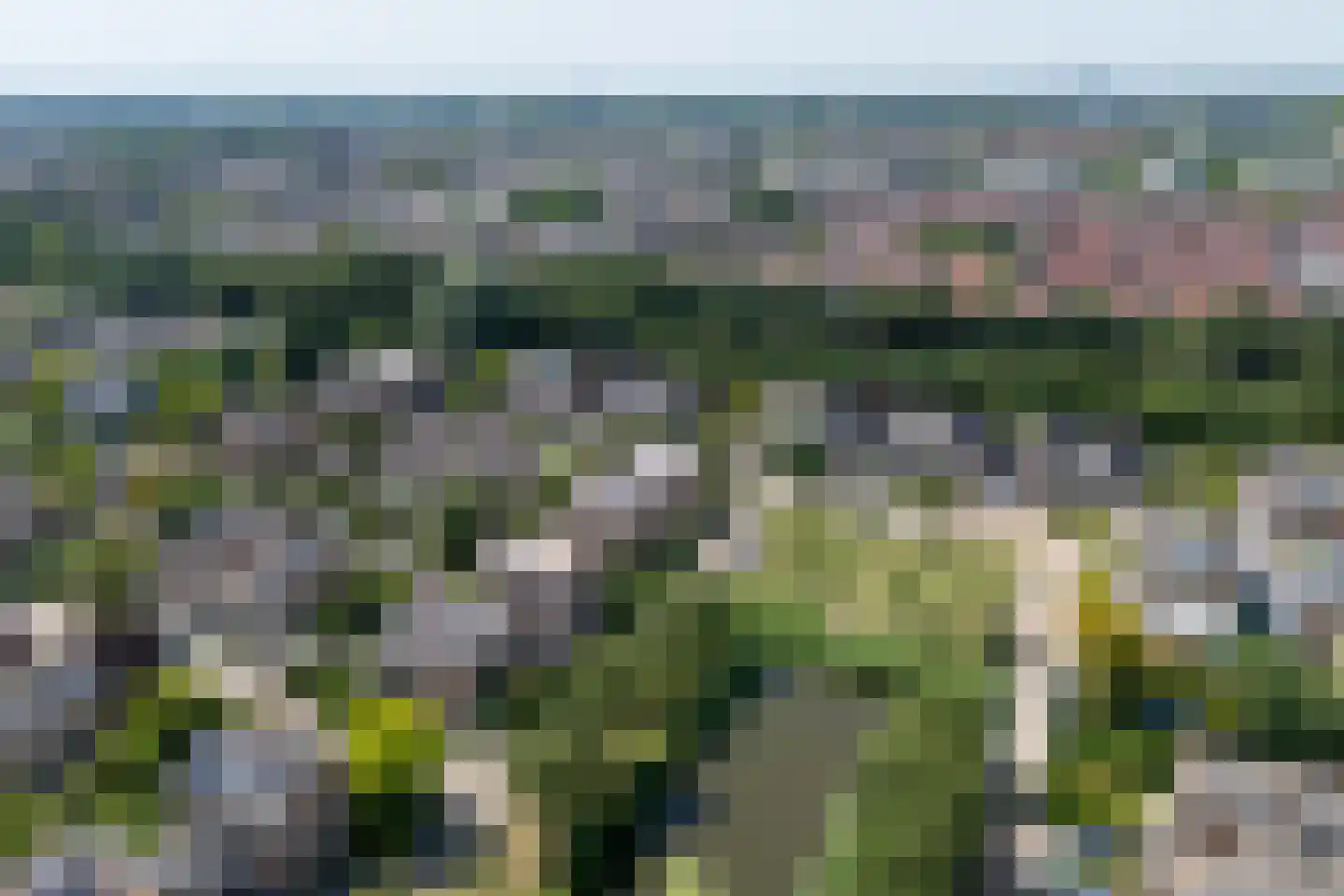 Hunzebos 20 Purmerend thumbnail 69
