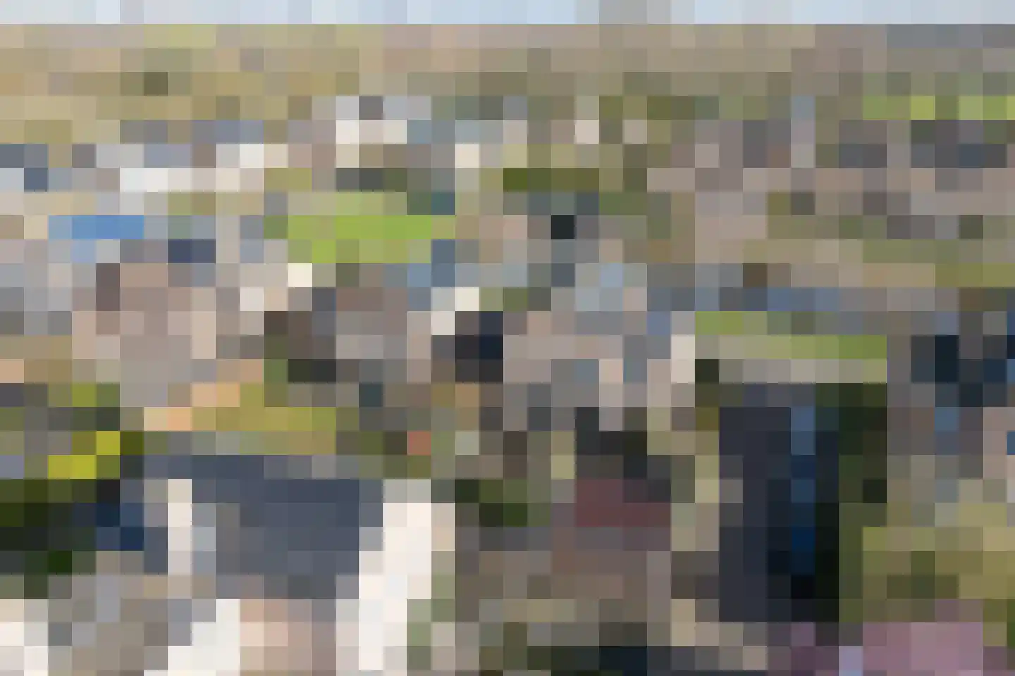 Hunzebos 43 Purmerend thumbnail 37