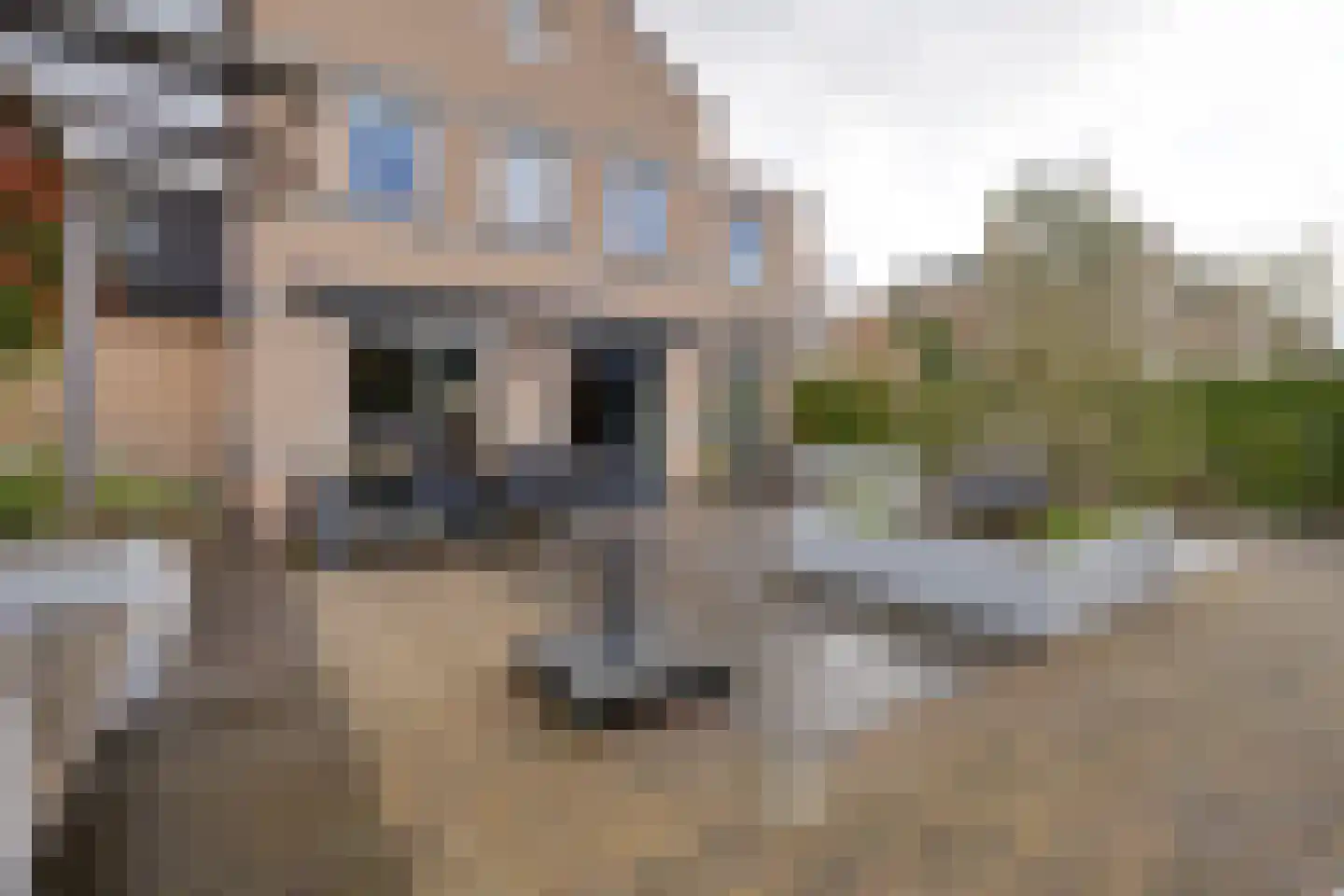 Hunzebos 43 Purmerend thumbnail 42