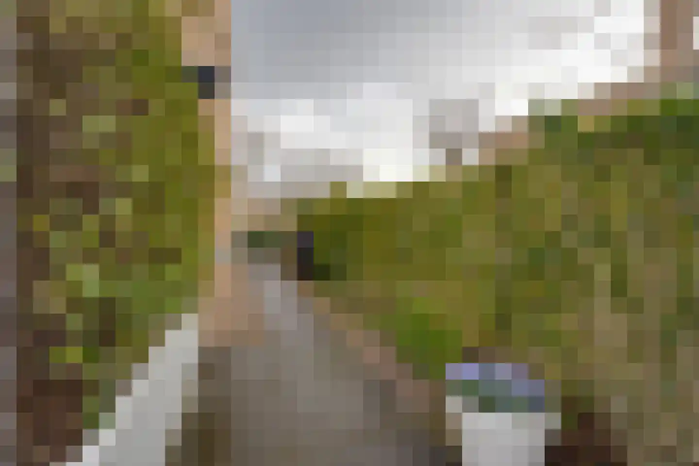 Hunzebos 43 Purmerend thumbnail 46