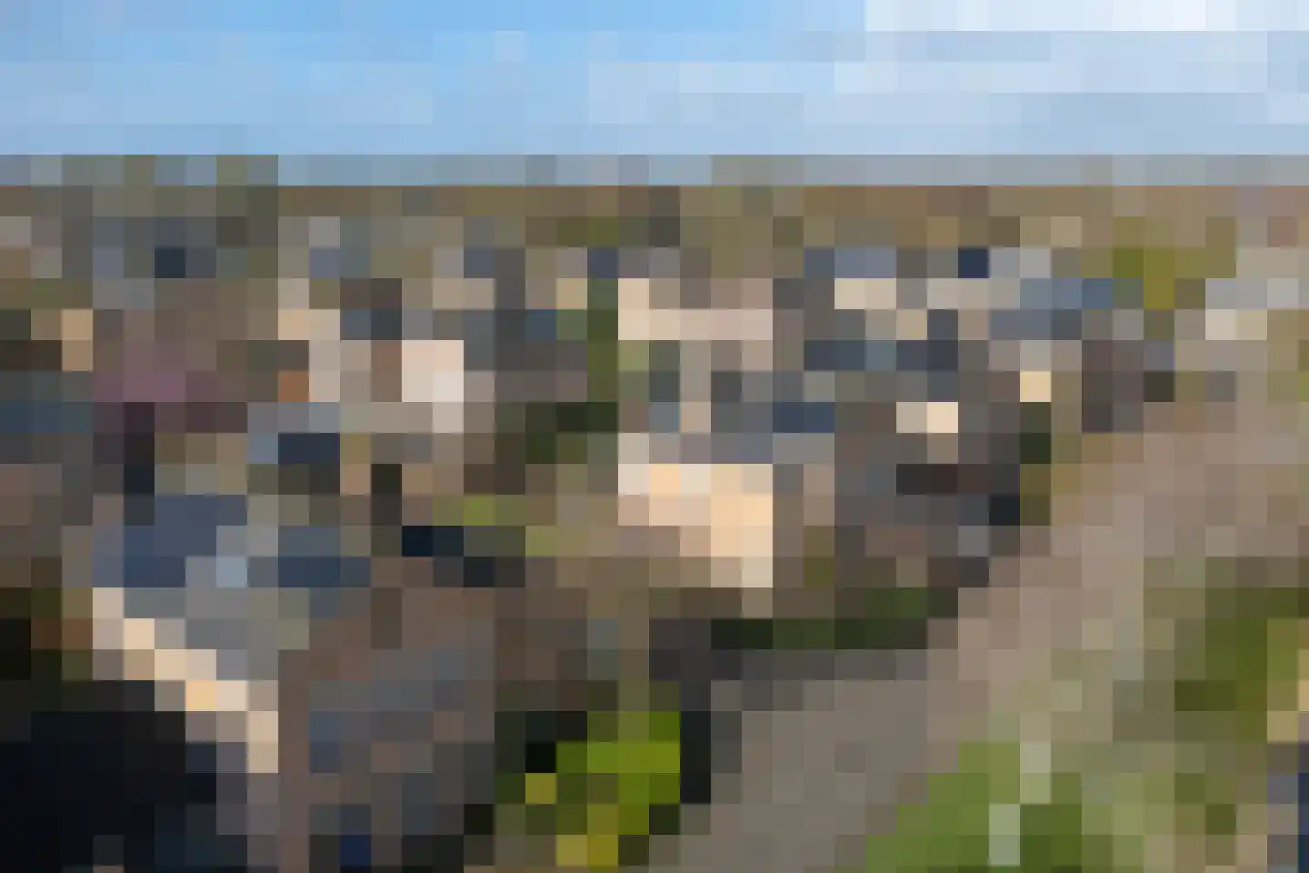 Hunzebos 43 Purmerend thumbnail 79