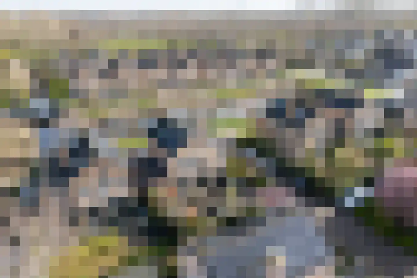 Hunzebos 43 Purmerend thumbnail 81