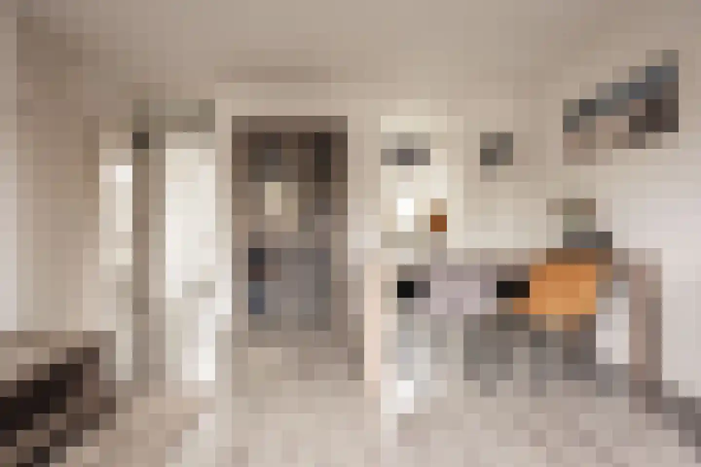 Hunzebos 45 Hoofddorp thumbnail 6