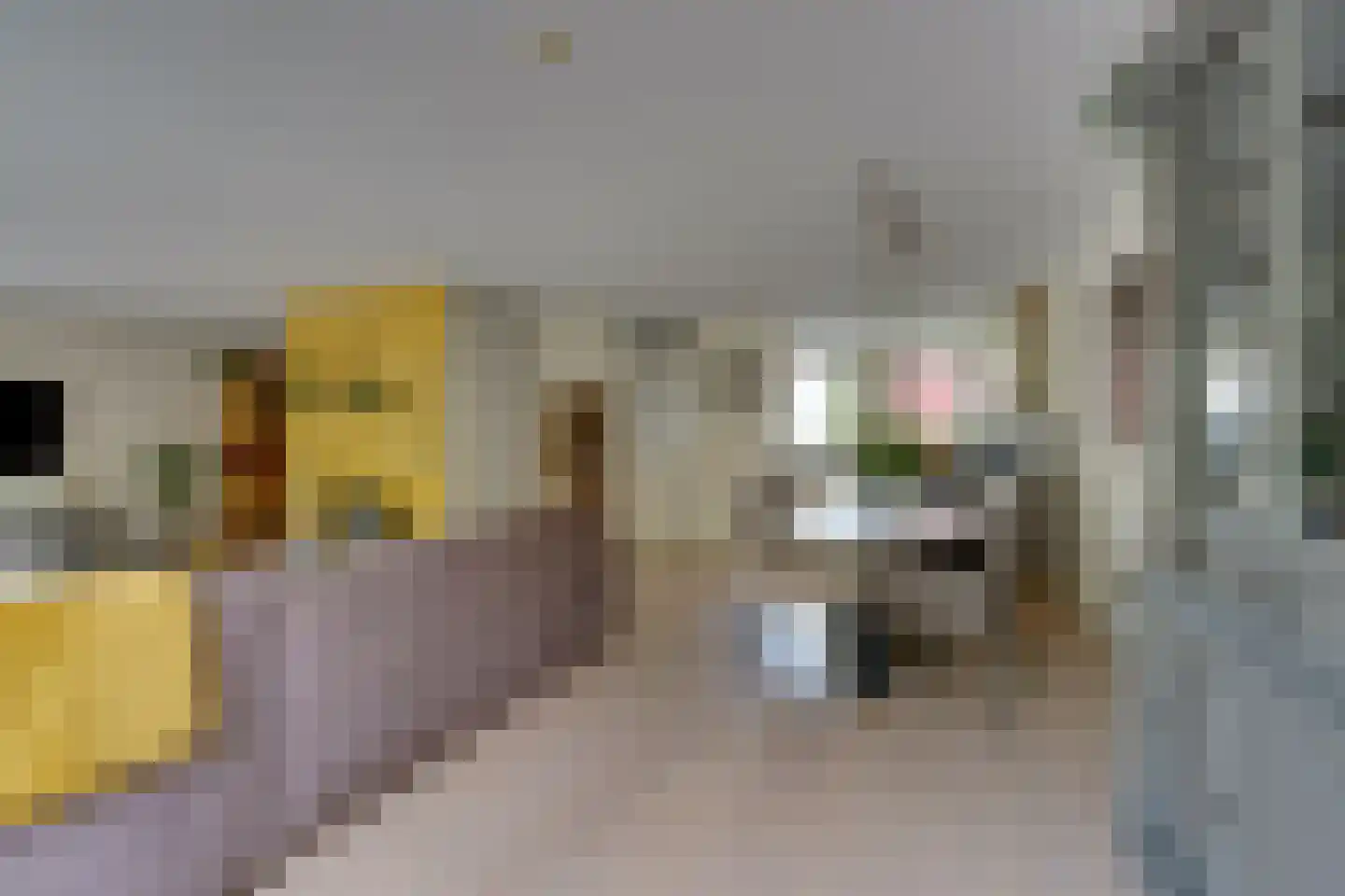 Hunzebos 6 Purmerend thumbnail 13