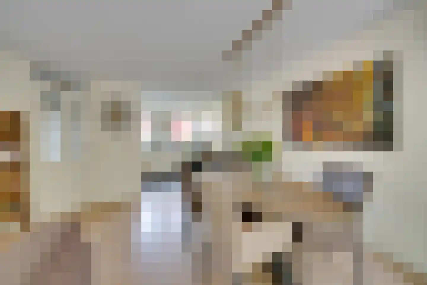 Hunzebos 6 Purmerend thumbnail 15