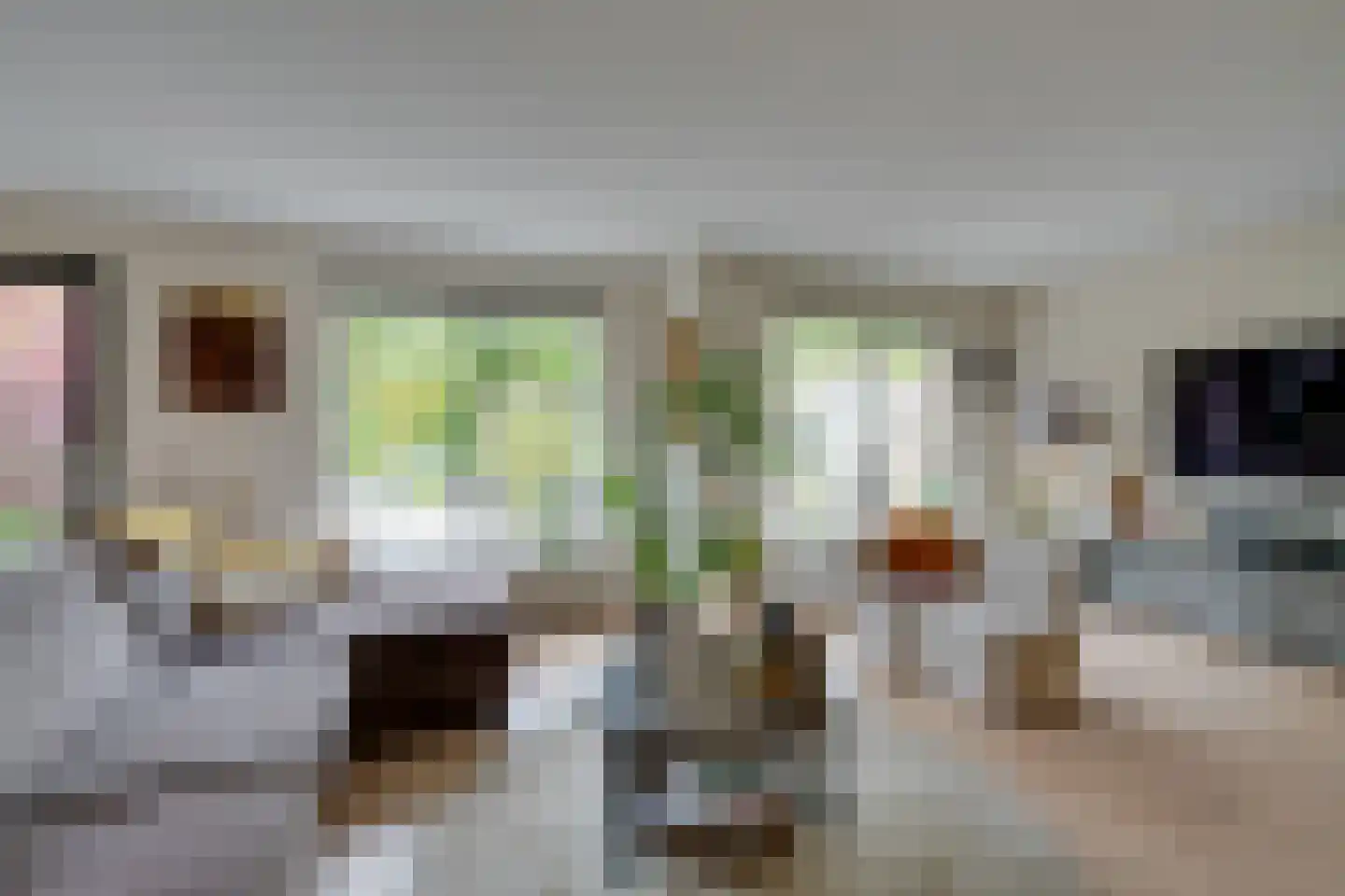 Hunzebos 6 Purmerend thumbnail 16