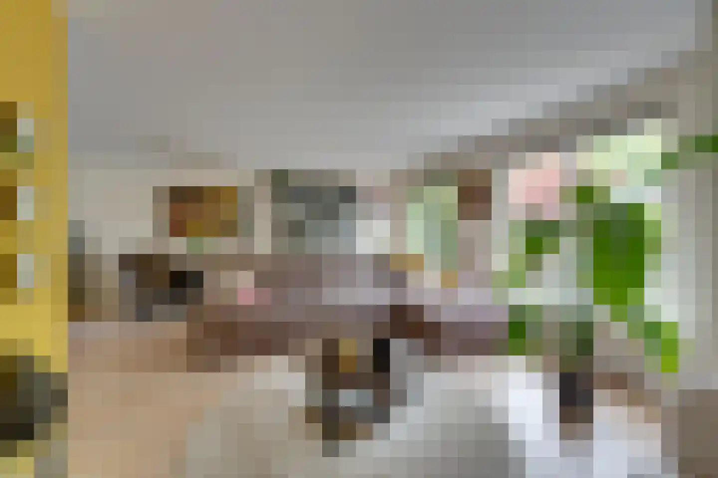 Hunzebos 6 Purmerend thumbnail 20