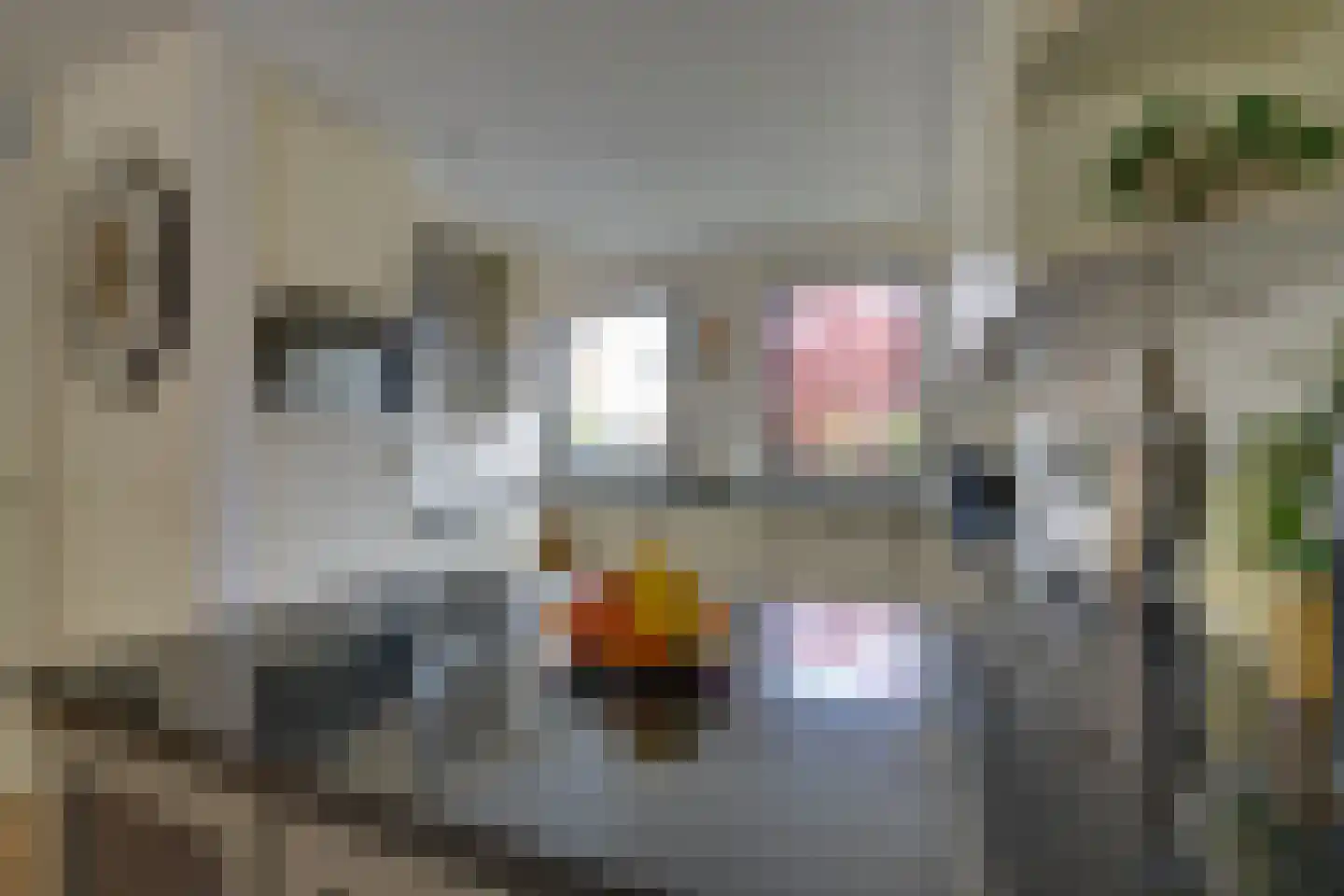 Hunzebos 6 Purmerend thumbnail 26