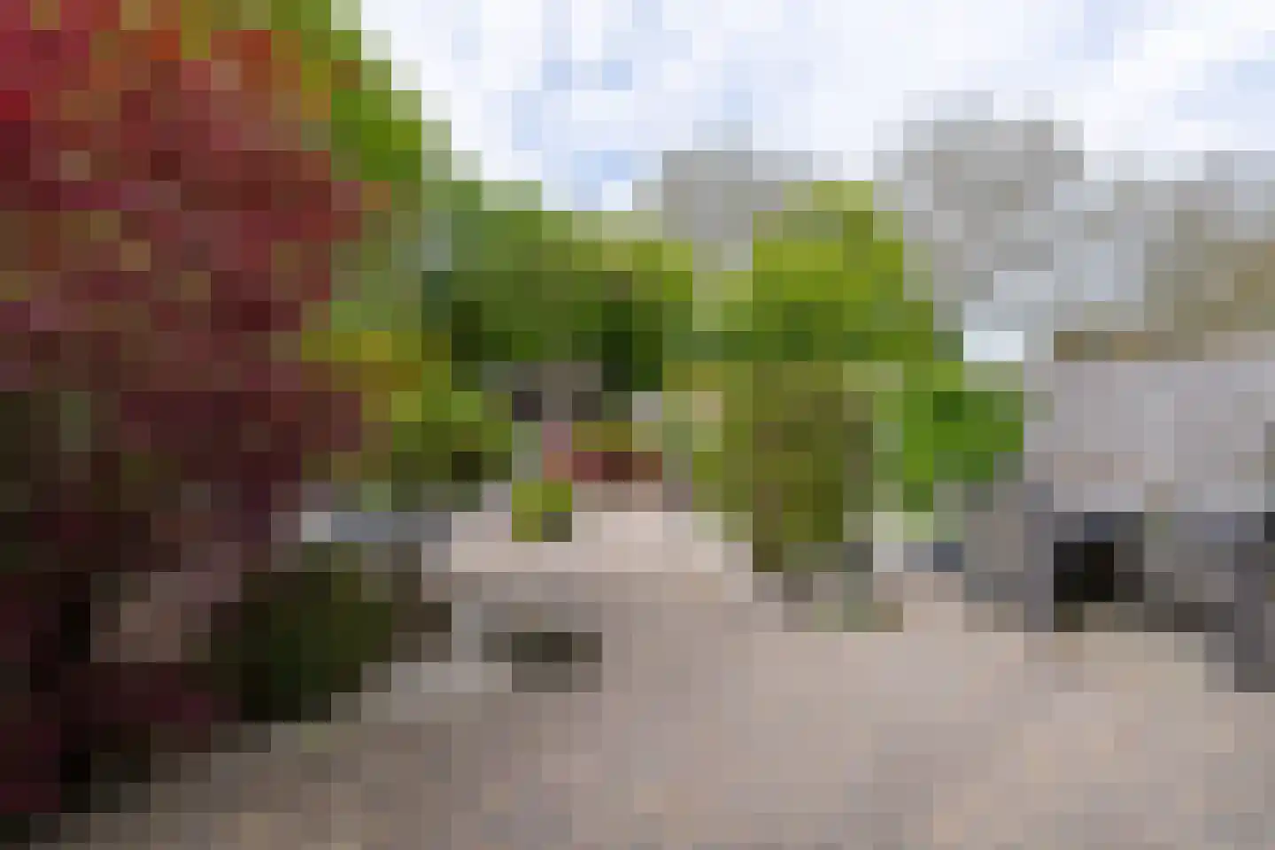 Hunzebos 6 Purmerend thumbnail 31