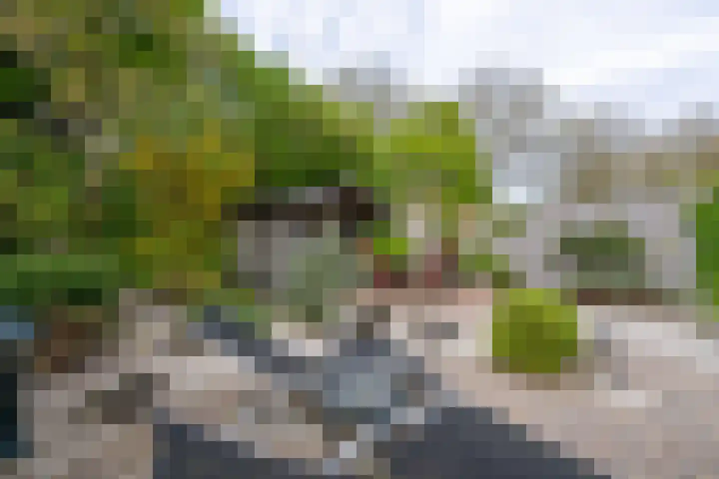 Hunzebos 6 Purmerend thumbnail 34