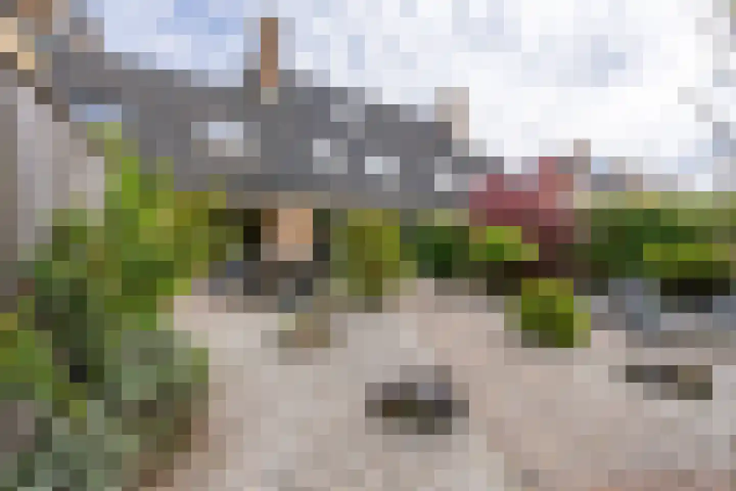 Hunzebos 6 Purmerend thumbnail 36