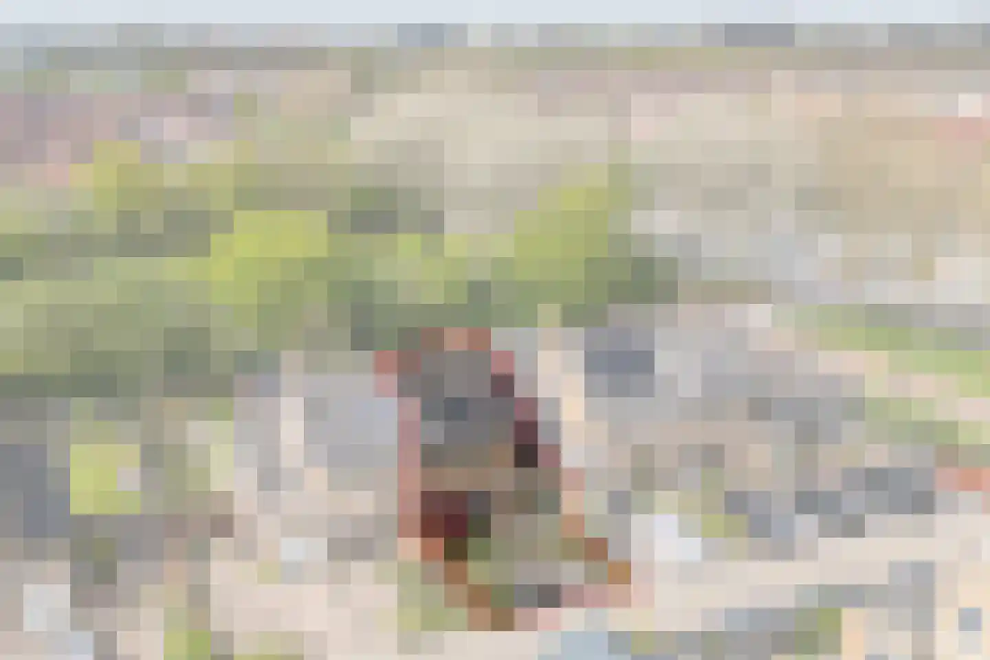 Hunzebos 6 Purmerend thumbnail 5