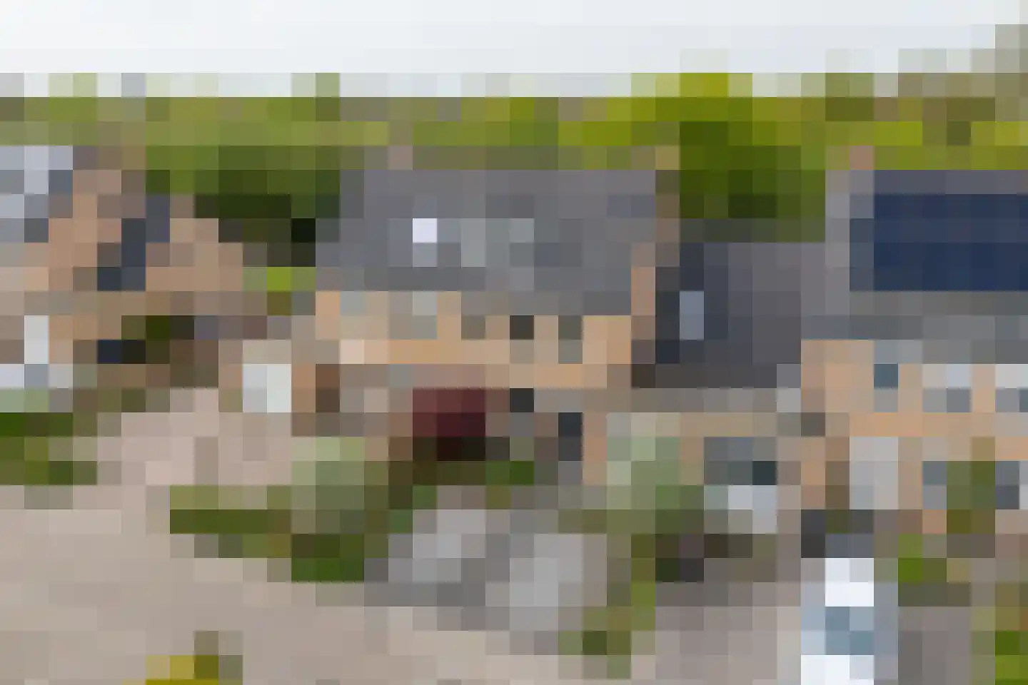 Hunzebos 6 Purmerend thumbnail 55