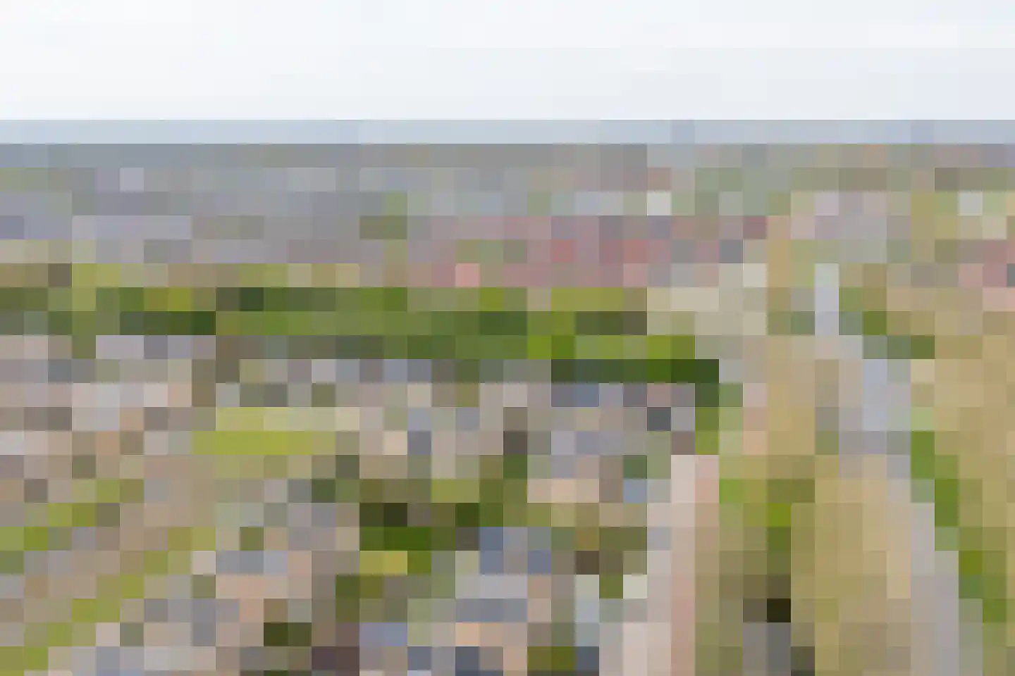 Hunzebos 6 Purmerend thumbnail 58