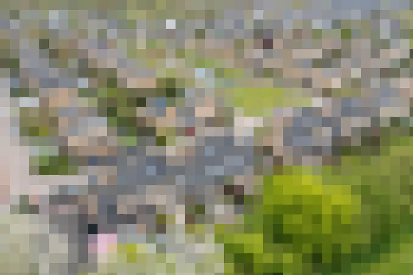 Hunzebos 6 Purmerend thumbnail 60