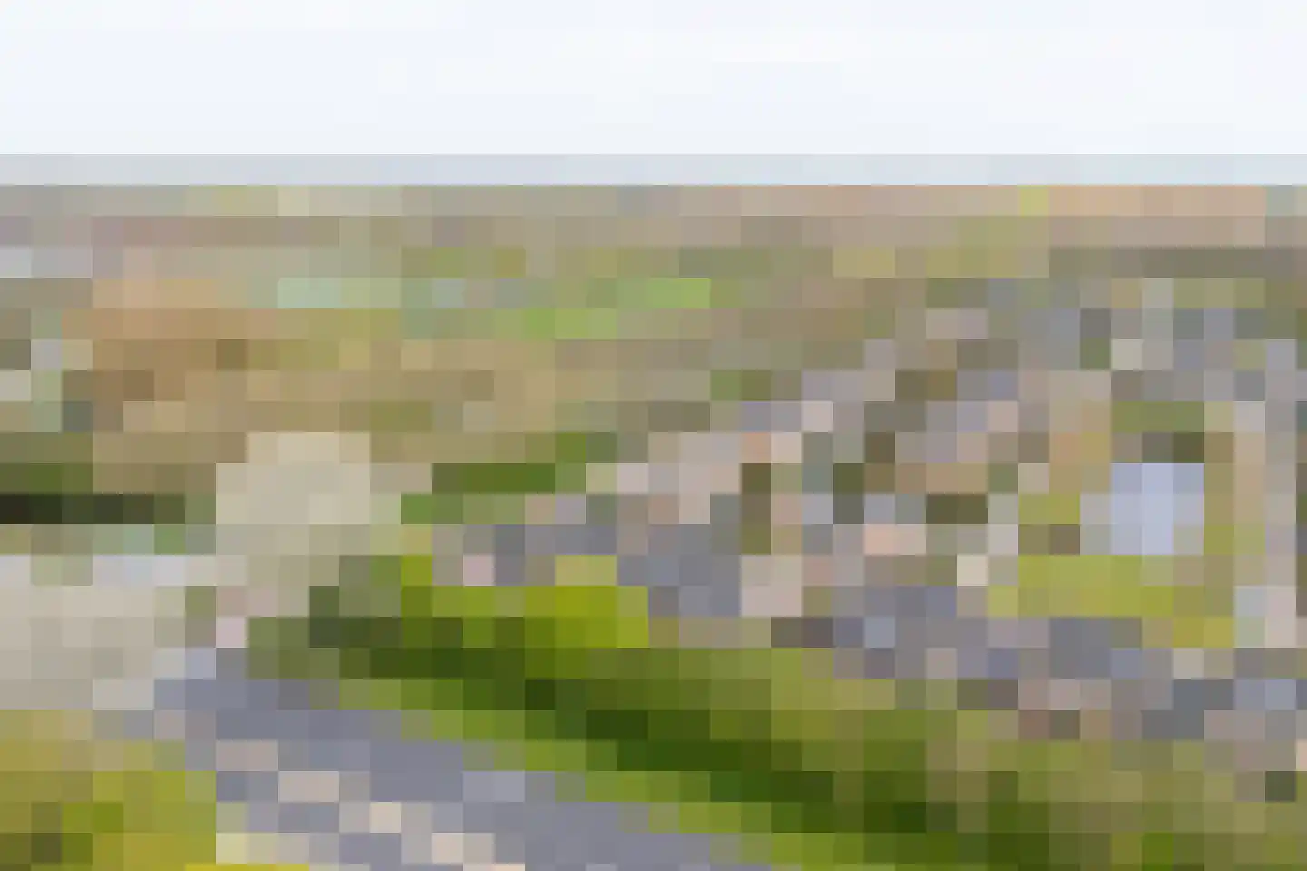 Hunzebos 6 Purmerend thumbnail 61