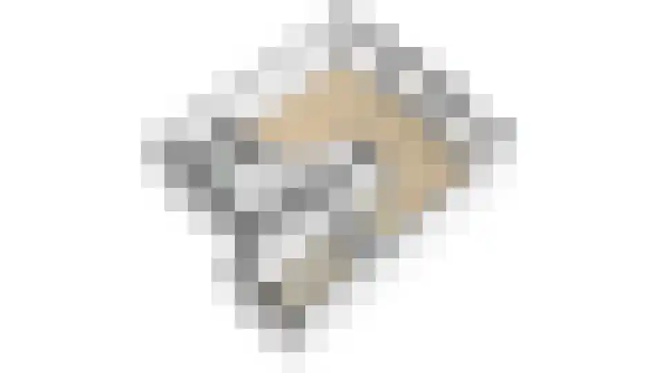 Hunzebos 6 Purmerend thumbnail 64