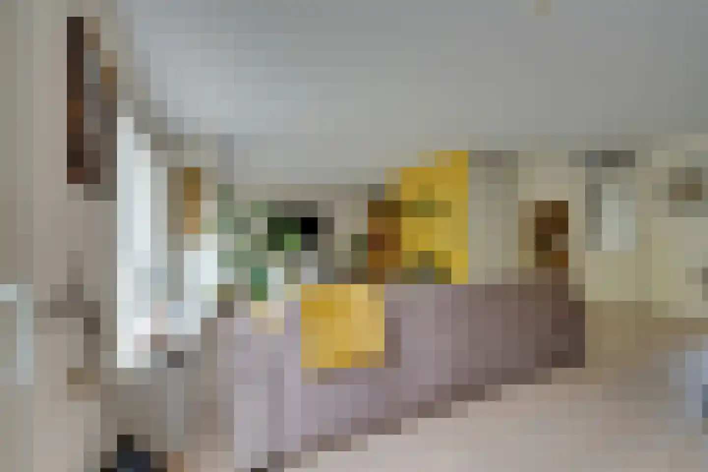 Hunzebos 6 Purmerend thumbnail 8