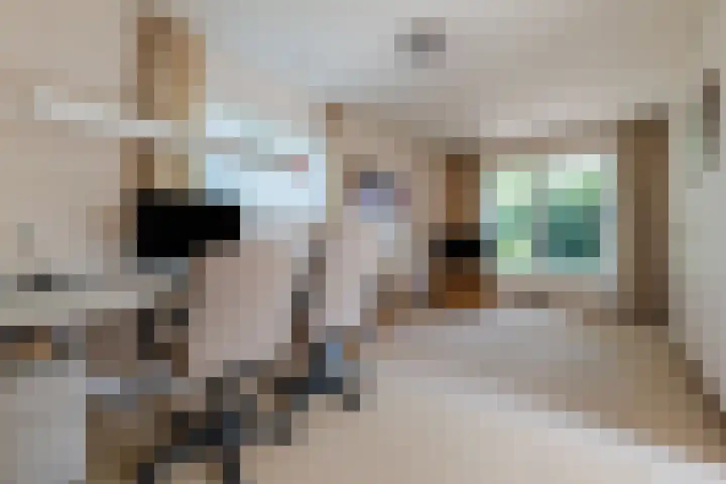 Hunzedal 24 Borger thumbnail 20
