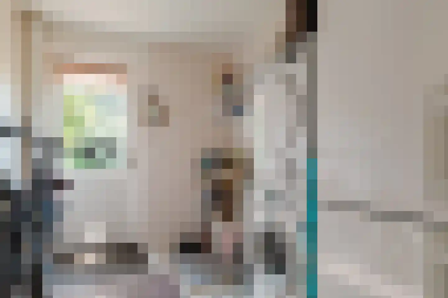Hunzedal 24 Borger thumbnail 21