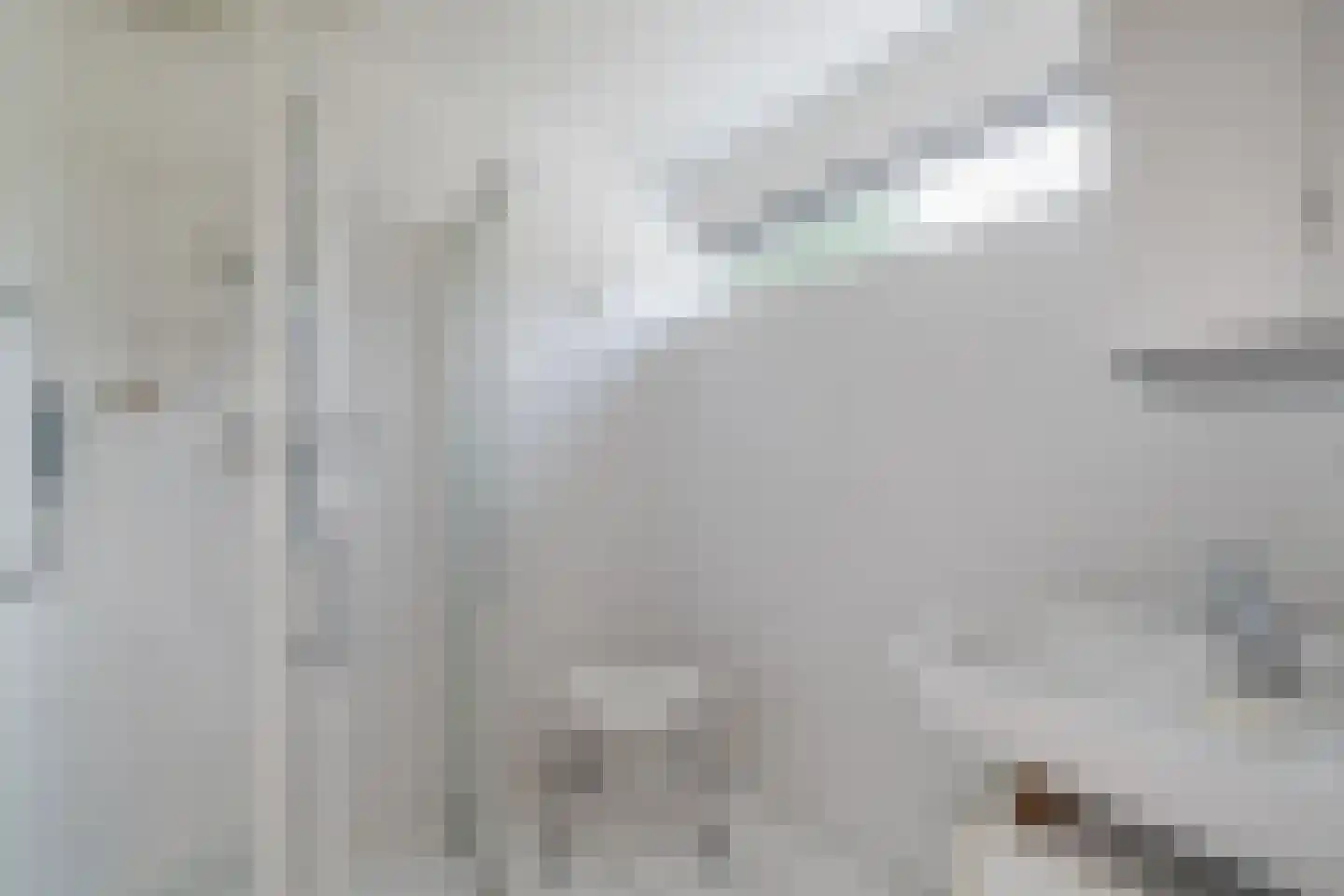 Hunzedal 24 Borger thumbnail 22