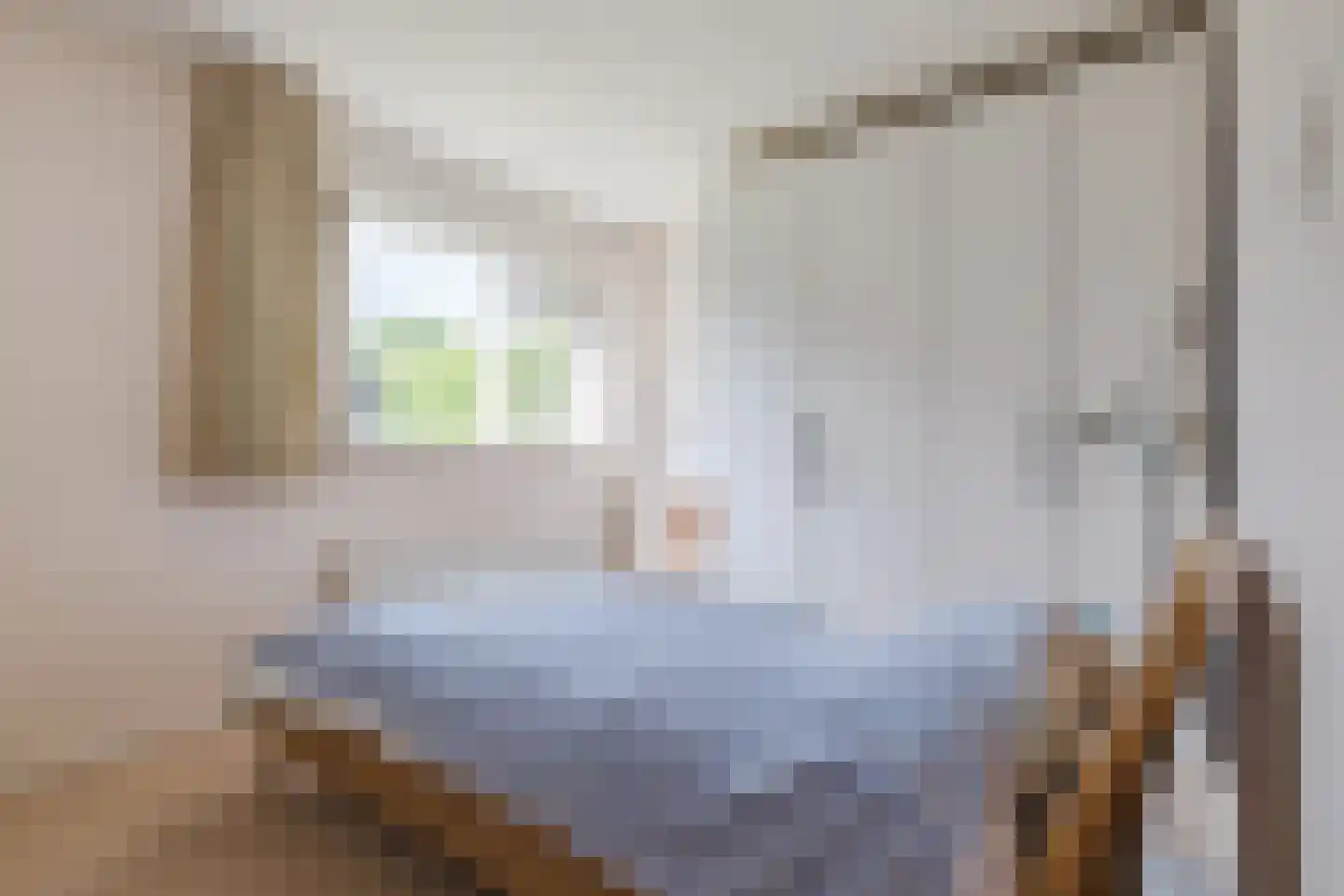 Hunzedal 24 Borger thumbnail 25