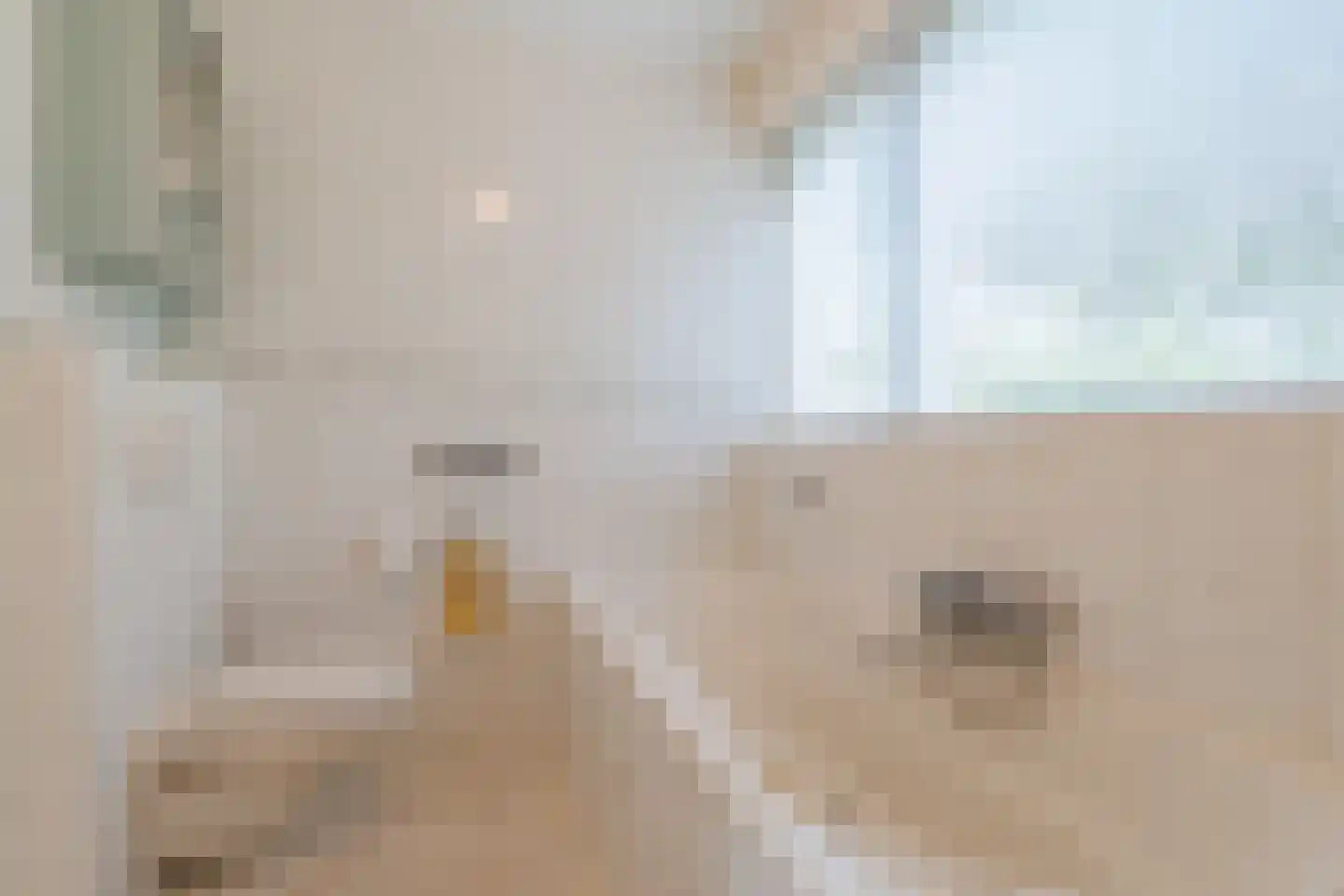 Hunzedal 24 Borger thumbnail 33