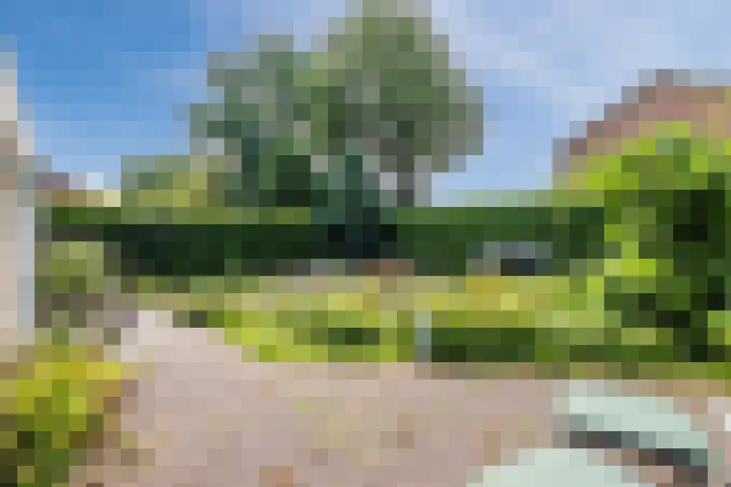 Hunzedal 24 Borger thumbnail 35