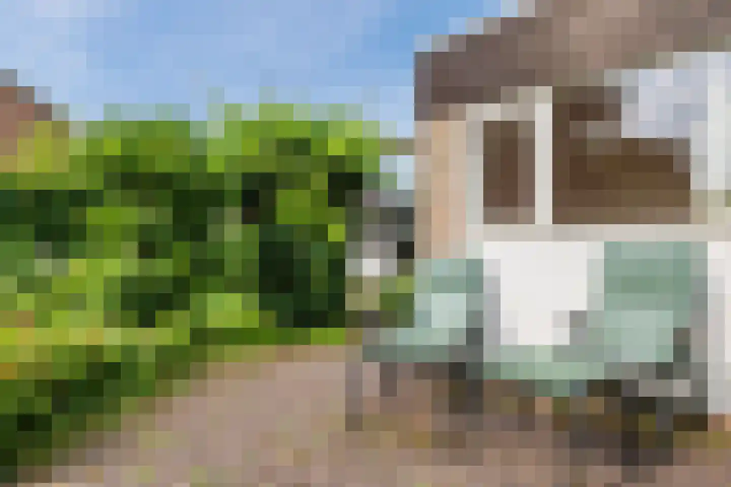 Hunzedal 24 Borger thumbnail 36
