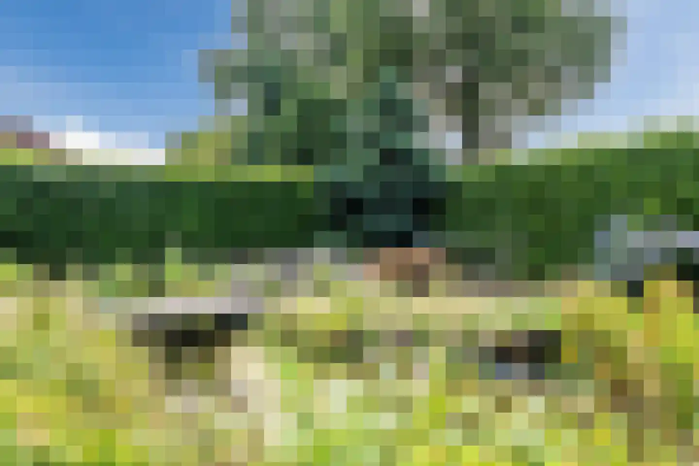 Hunzedal 24 Borger thumbnail 37