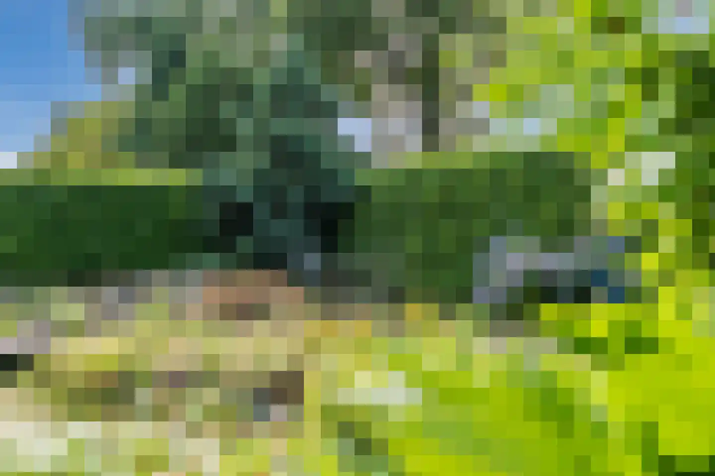 Hunzedal 24 Borger thumbnail 38