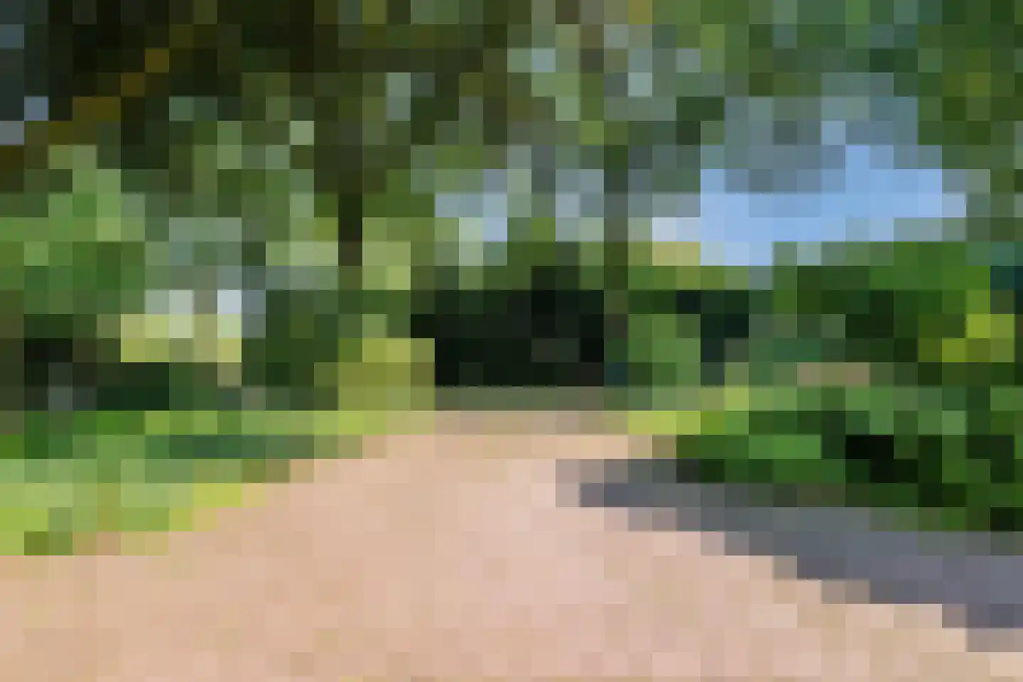 Hunzedal 24 Borger thumbnail 4